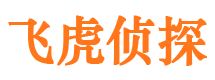 平川外遇调查取证